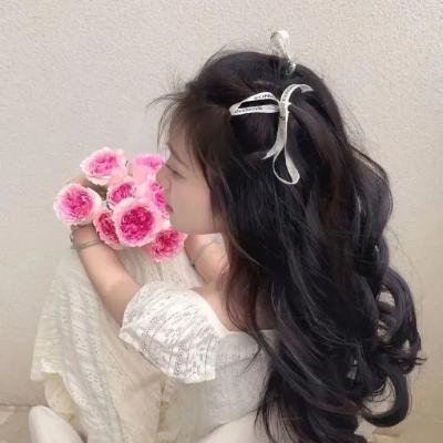 风流舰队